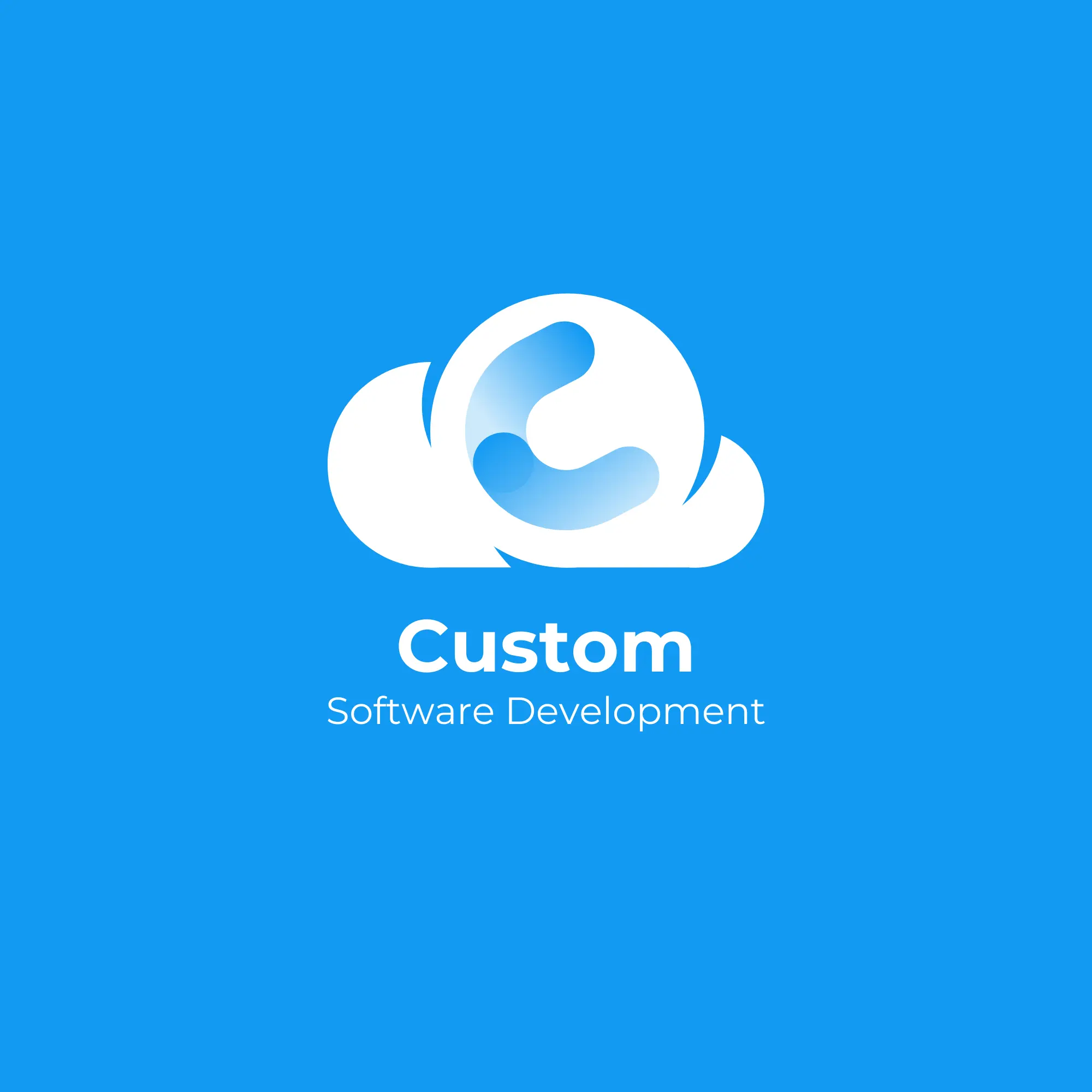 Custom Software Development